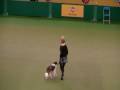 Crufts 2008