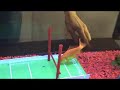See Video