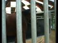 videos de kort