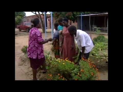 sowing seeds -