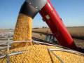 Harvest 2008
