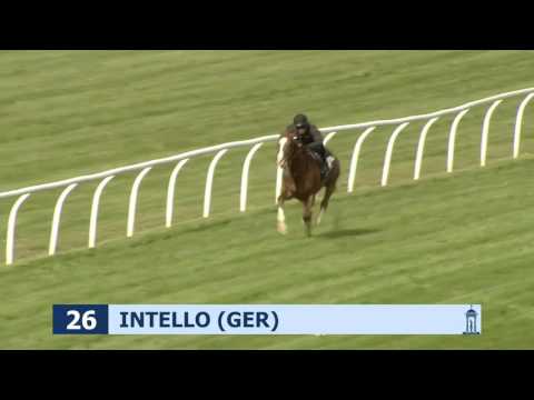 Craven Breeze Up Sale 'Breezes'