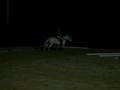 videos de Jumping & Trail Riding with Mikey