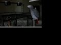 Very Talkative Parrot 2