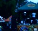 ultra live dj andrw
