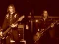 The Flaming Sideburns - Flowers - bixu bruta fest
