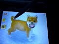 Yucky Nintendogs Glitch