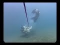 Duckboarding burning bear.flv Duckboarding burning bear.flv