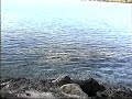 Visita en Aquarium - Bahia de Naranjo - Guardalavaca - Cuba