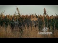 Whitetail Deer and CVA Apex with Open Season