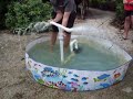 Fountain Prototype