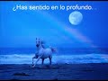 Has visto la noche