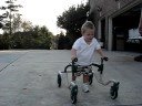 Jackson walking