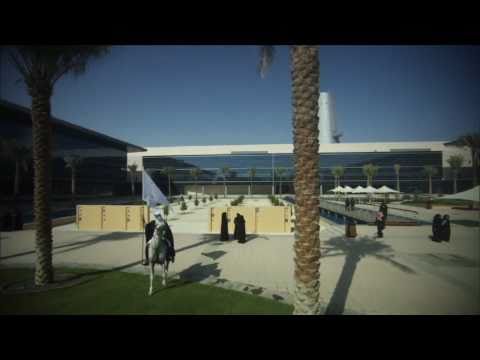 0 University of Dubai (VIDEO)