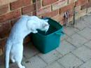 Jack having a drink Jack having a drink