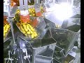 alimentação         linha de conservas