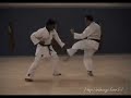 Karate Shorin-Ryu - Renzoku-Kumite Fukyu Kata Ichi
