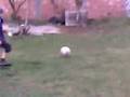 bobo brincando de bobinho 1° parte