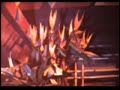 enchanted-tiki-room-film-clip-disneyland-california-anaheim.html