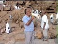 HAC arafat