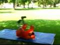 Shaolin Kung Fu Techniques : Learn Shaolin Kung Fu Flips & Tumbles