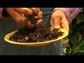 Organic Fertilizing : Importance of Healthy Garden Soil Organic Fertilizing : Importance of Healthy Garden Soil