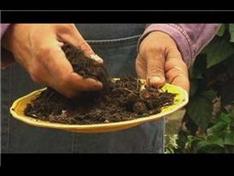 how to fertilize garden soil