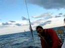 turning Giraglia