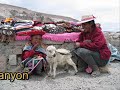 Pictures of South America 1