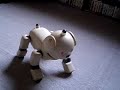 AIBO AIBO
