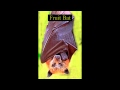Australia: Mandatory Vaccinations- Most Virulent Ever Flying Fox Disease Killing Horses and People