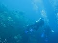 Diving the Shinkoko Maru in Truk Lagoon in Chuuk