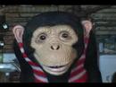 2 GIRLS 1 CUP & MAGIBON INTERVIEWS ON Blog Monkey
