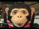 2 GIRLS 1 CUP & MAGIBON INTERVIEWS ON Blog Monkey