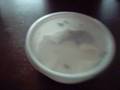 videos de Crested Gecko Unboxing