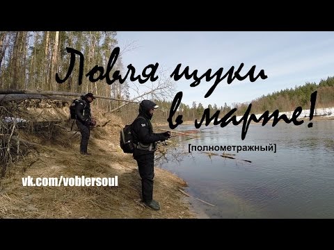 YouTube Трейлер