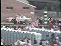 1989 Preakness Sunday Silence Easy Goer