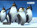 penguin
