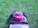 Mowing Lawn Mowing Lawn