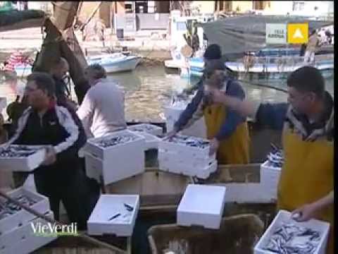 Immagine anteprima YouTube