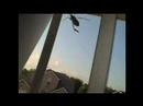 El Insecto Lleg�