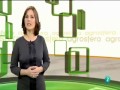 La Vendimia en Bodegas Protos