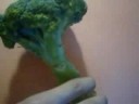 La vie du brocolie vert