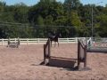 videos de Senior Medals Test
