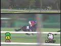 061210中山11R朝日杯フューチュリティステークス(G1) ドリームジャーニー