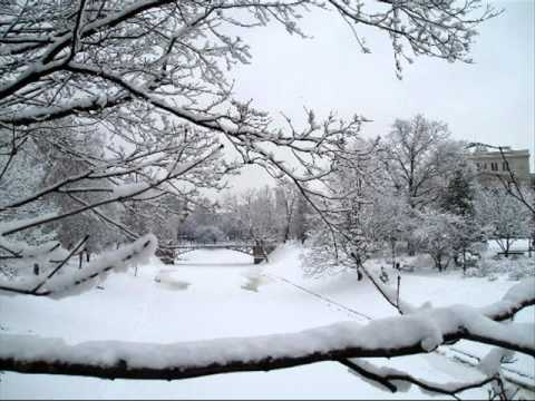 Suzi Snowflake by The Jason Dixon Line.wmv