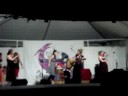 dar-williams-falcon-ridge-2008.html