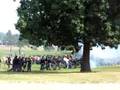 Cascades Civil War Muster 2008