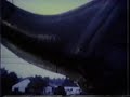 Dinos invade Boardman Plaza