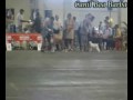 MAGOO - SCHNAUZER BRANCO Nº1 DO BRASIL